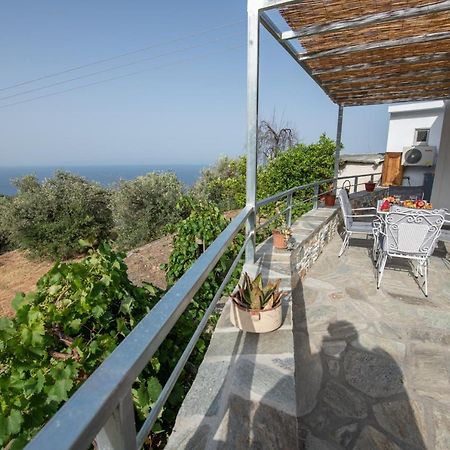 Oneiro Cottage Skopelos Buitenkant foto