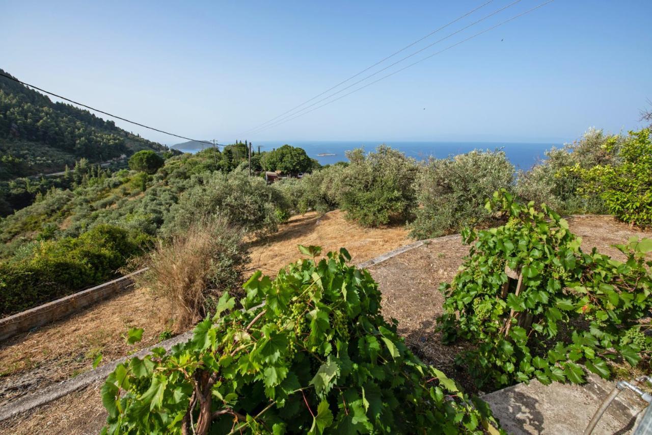 Oneiro Cottage Skopelos Buitenkant foto